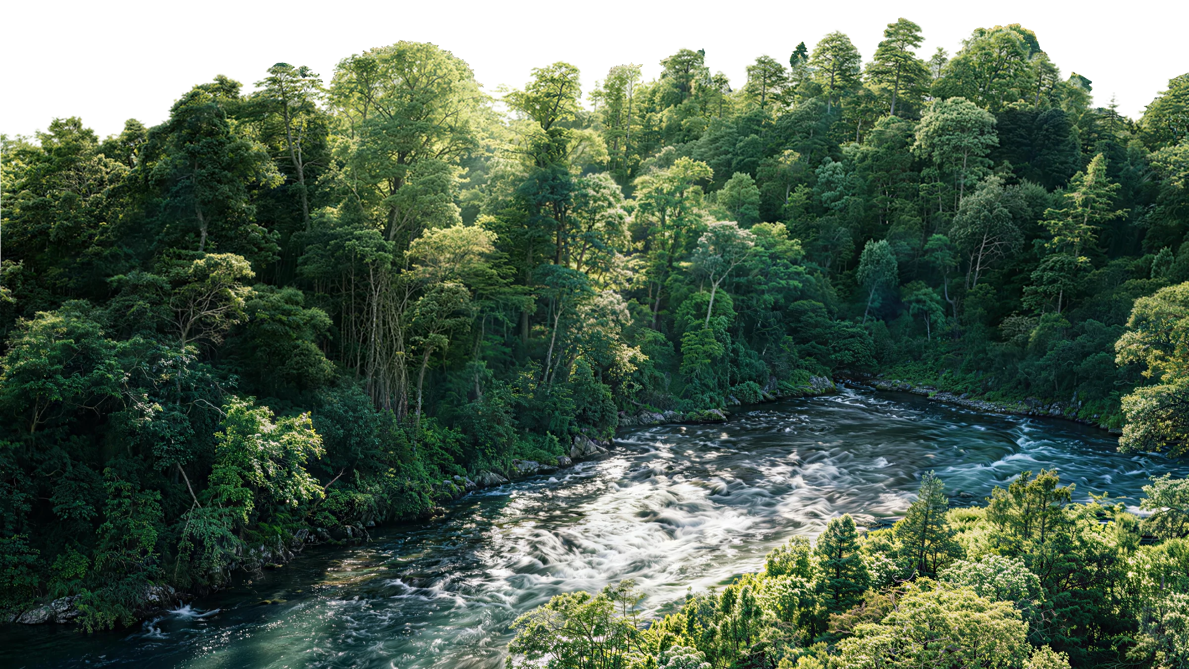 Environmental protection project visual section one